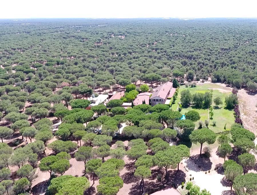 Posada Real Del Pinar Pozal de Gallinas Екстериор снимка